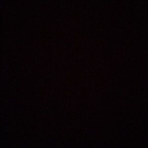 Meet your Posher, Lily